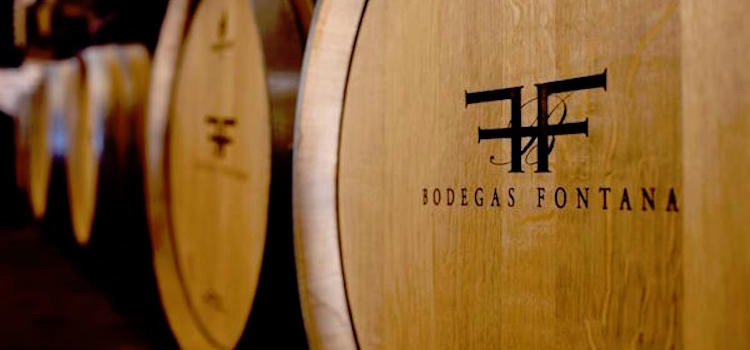 bodegas-fontana-vineri
