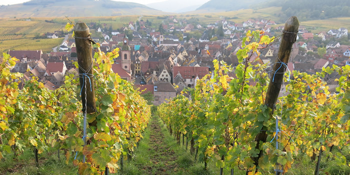 Res-till-Alsace