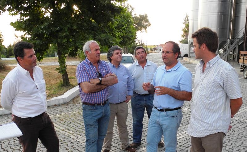adega-de-redondo-aletejo-copy-vinbanken