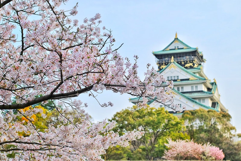 vad-ar-sake-vinbanken-close-up-photography-of-cherry-blossom-tree-1440476