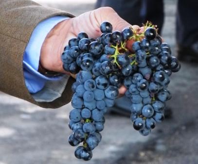topp-10-vin-november-2016