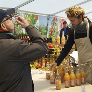 must-sm-i-kivik-vinbanken
