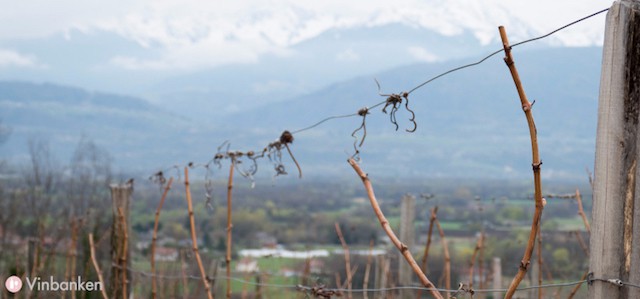 viner-fran-savoie