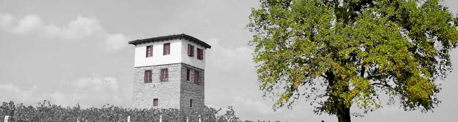 vinkoplistan-vinbanken-kir-yianni