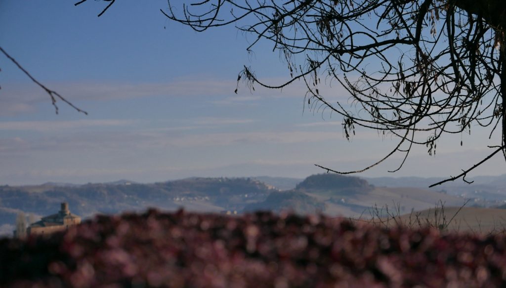 barbaresco-docg-klassificerat-vin-nebbiolo-cuneo-peimonte-vinbanken