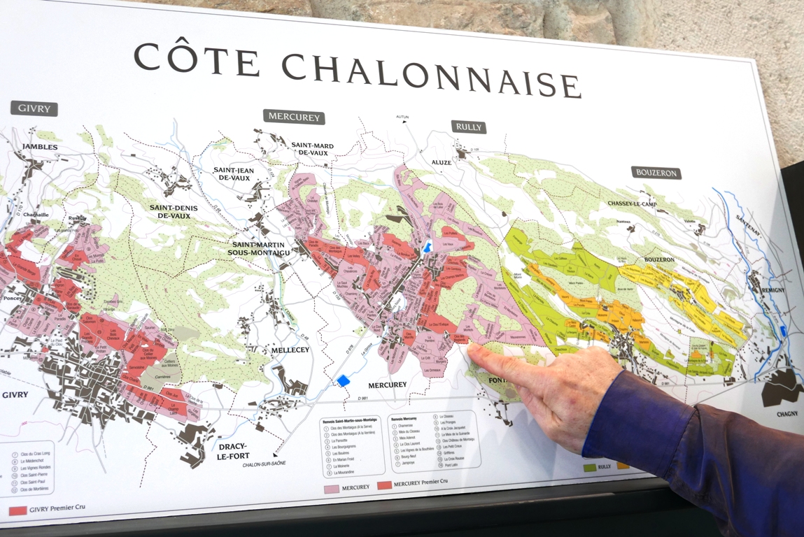 cote-chalonnaise-domaine-faiveley