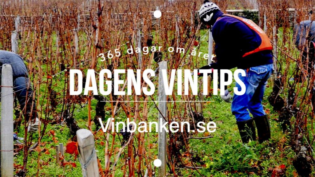 dagens-vintips-med-vinbanken-och-elke-jung