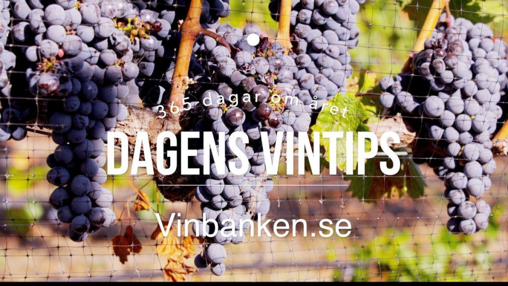 dagens-vintips-vinbanken-elkejung