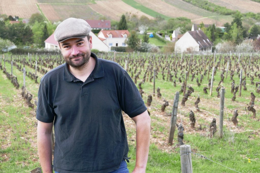 vinbanken-xavier-moissenet-domaine-les-champs-de-themis