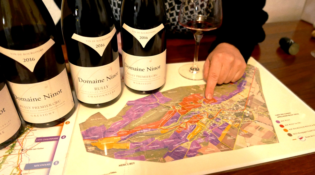 vingardar-rully-domaine-ninot-vinbanken