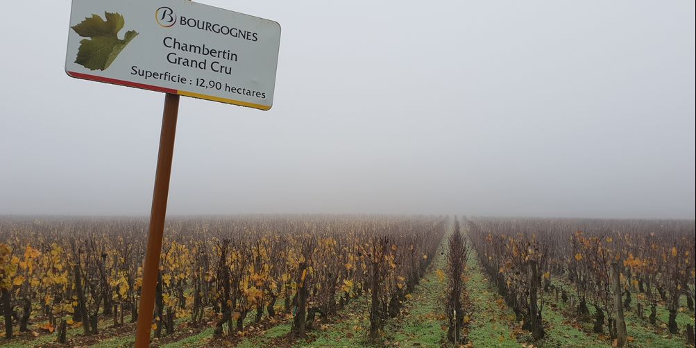 argang-2017-i-gevrey-chambertin-vinbanken