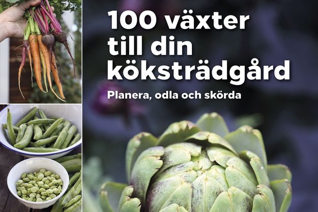 100-vaxter-till-din-kokstradgard-recension-vinbanken