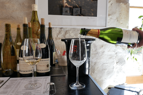 tasting-at-domaine-les-temps-perdus-clotilde-davenne-vinbanken