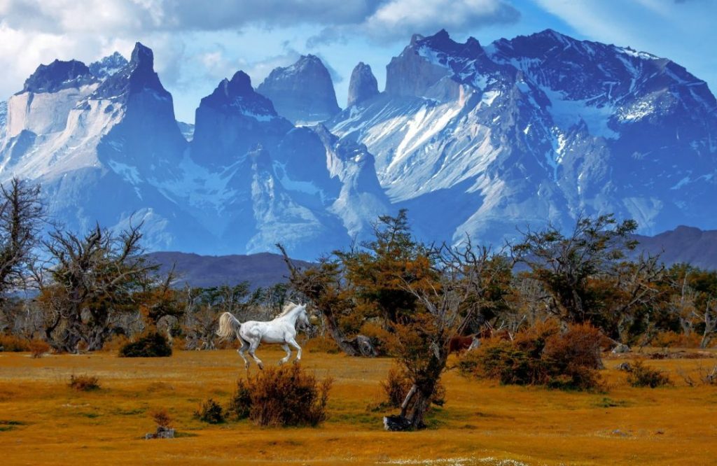 torres-national-park-patagonia-vinbanken