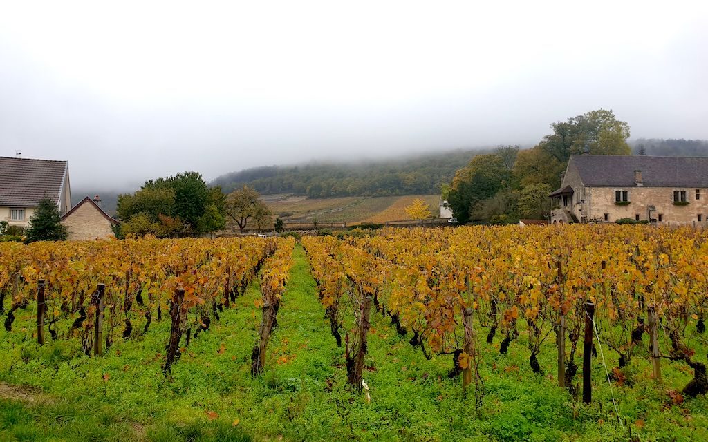 Argång-2018-i-Gevrey-Chambertin-Côte-de-Nuits-vinbanken