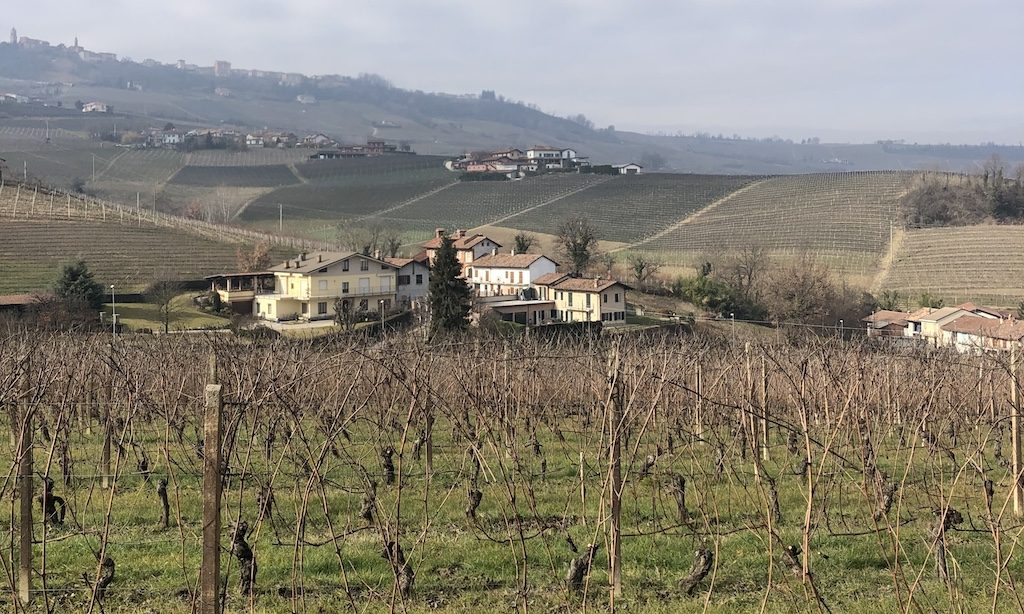 NEBBIOLO PRIMA - Barbaresco DOCG 2015 och 2017-vinbanken