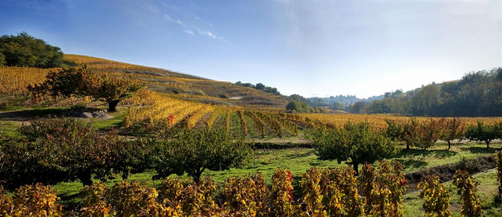 Crozes-Hermitage-basta-kopen-systembolaget-vinbanken
