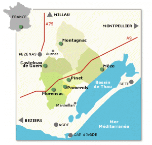 picpoul-de-pinet-vinkalender-karta