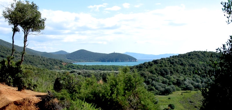 Maremma-Toscana-DOC-uppgraderad-ursprungsbeteckning
