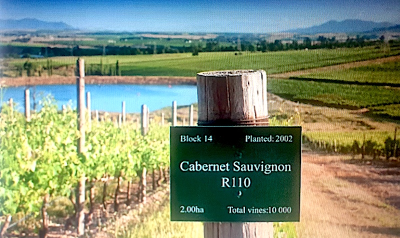 snygg-rod-kalifornien-cabernet-sauvignon-vinkoplistan-35
