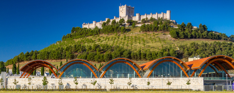 protos-vinhus-som-satt-ribera-del-duero-pa-kartan-vinbanken
