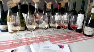 vin-fran-argentina-provning-vinbanken