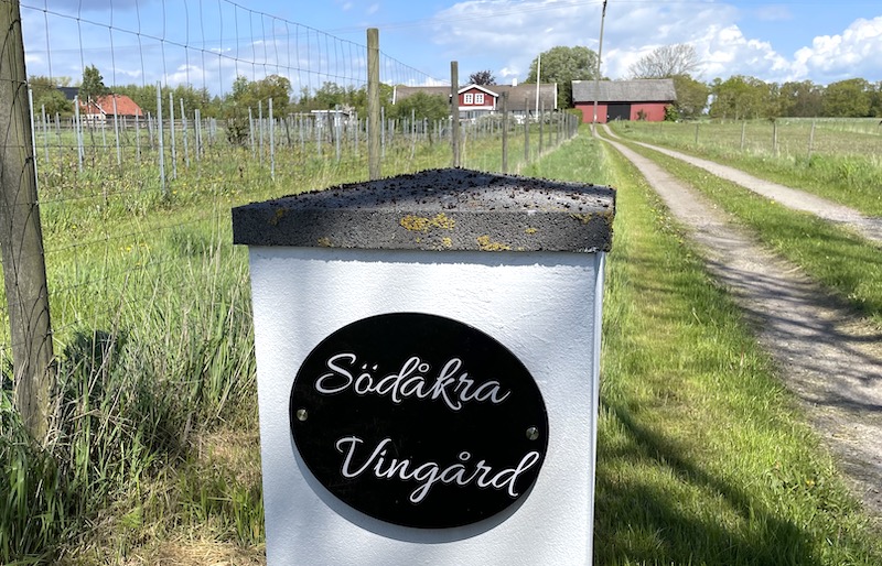 sodakra-Vingard-foto-Ursula-Hellberg-VINBANKEN
