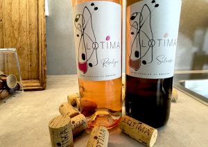 Vin-i-Lotimaserien-Lottenlund-vinbanken