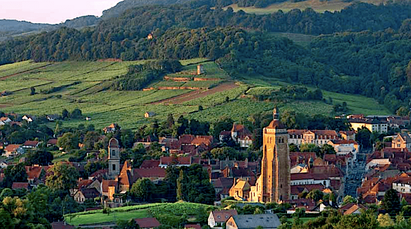 arbois-jura-vinbanken