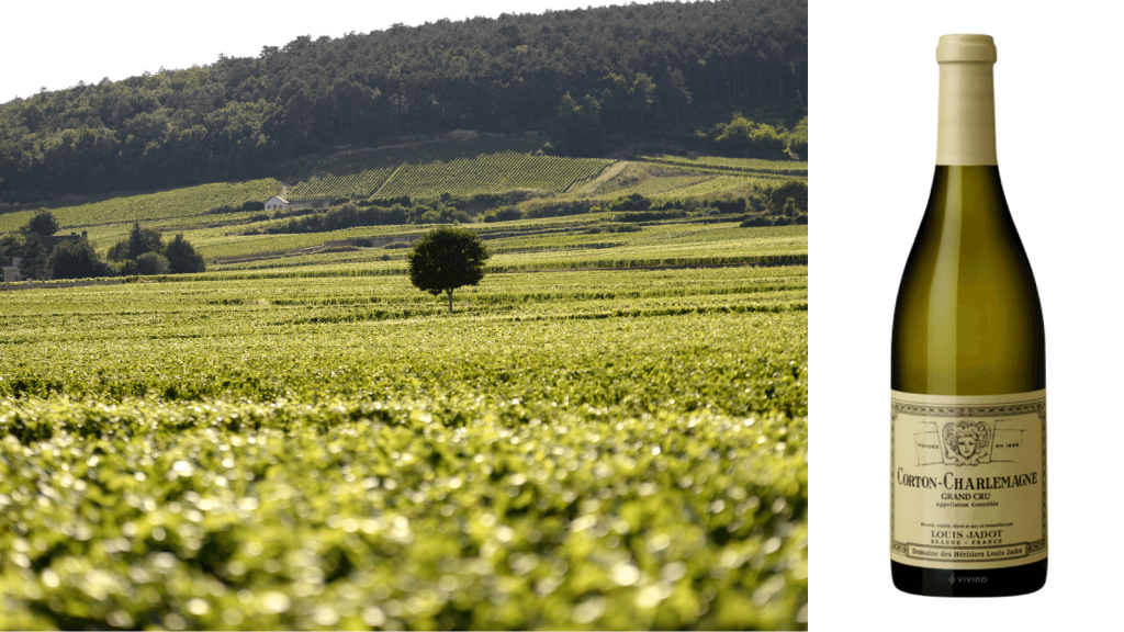 Louis Jadot
