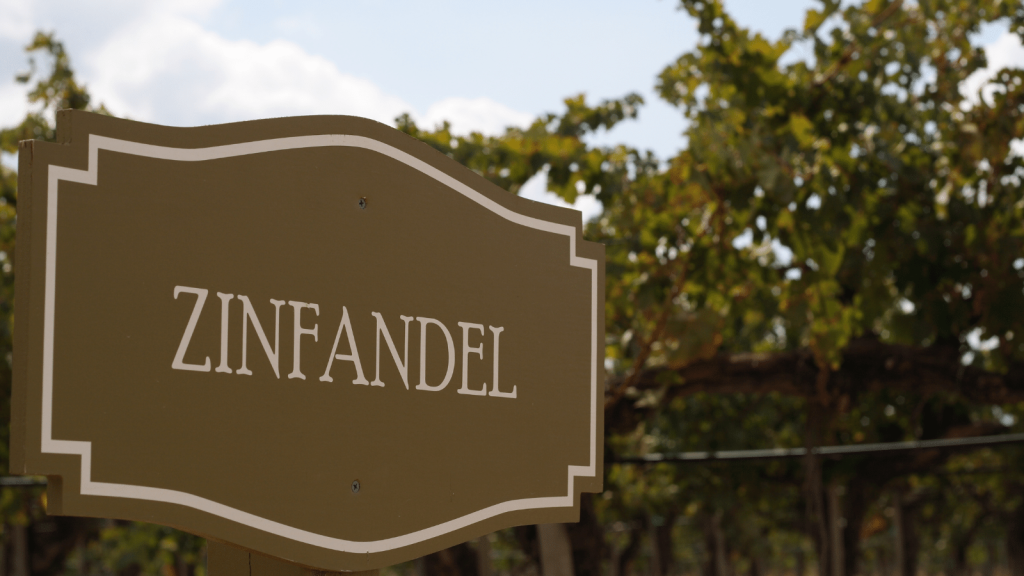 zinfandel
