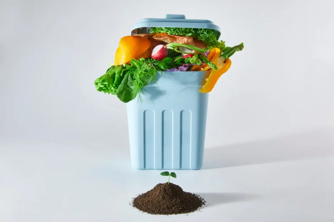spreco alimentare