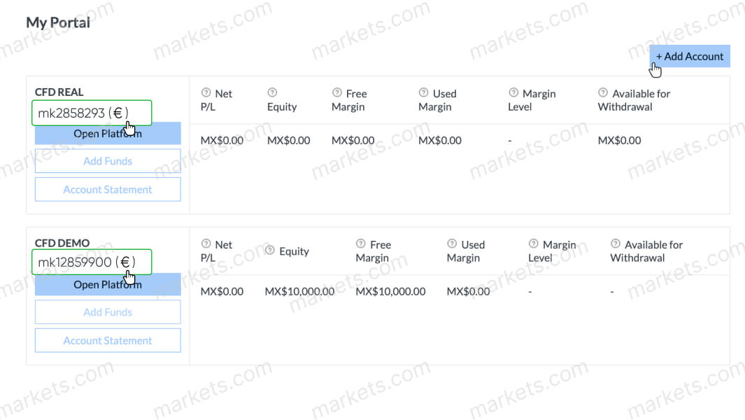 Account numbers under the type of accounts.