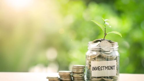 Plant growing in Coins glass jar with investment paper label for money saving and investment financial concept