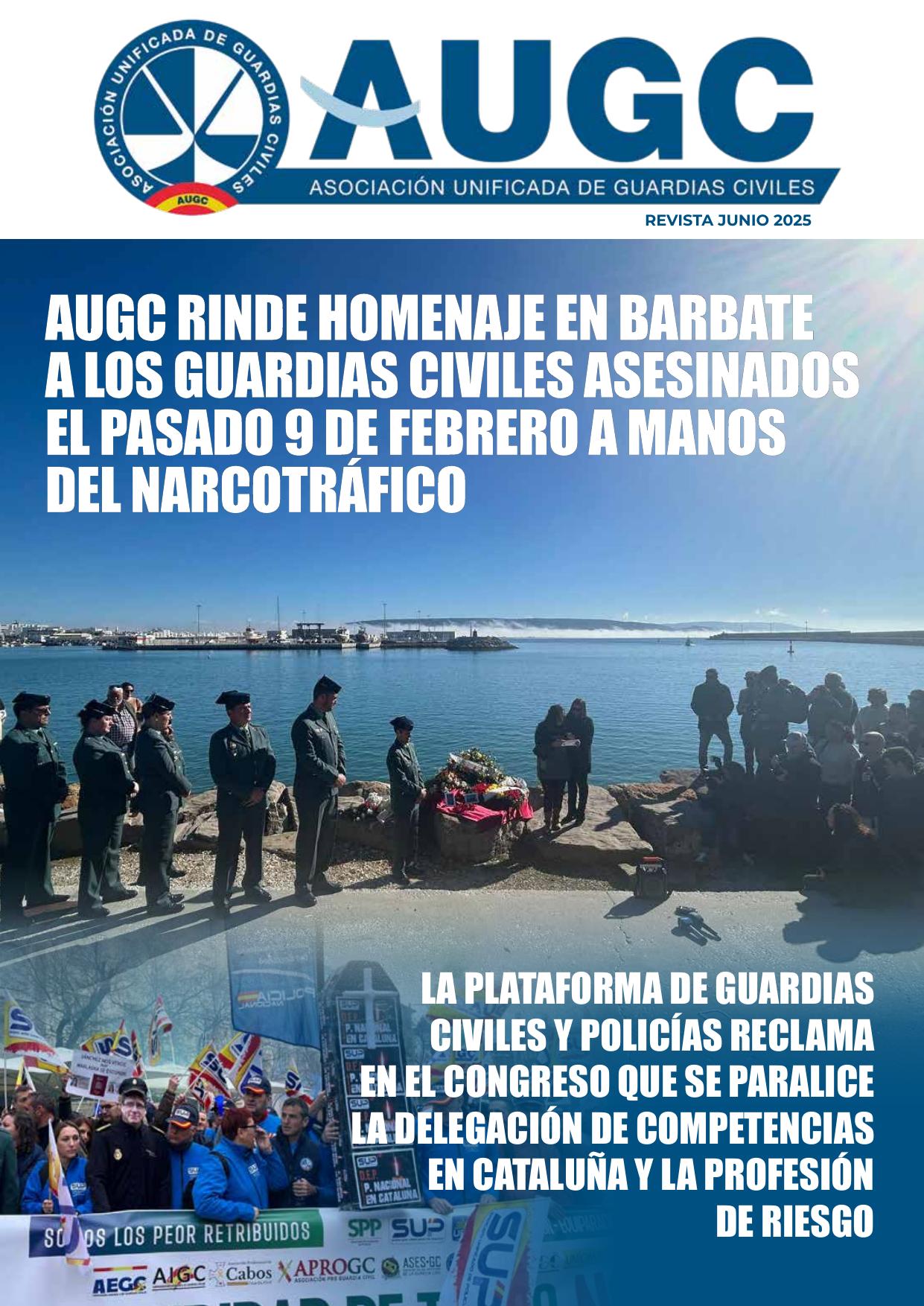 Portada Nº 8 — 01/06/2025