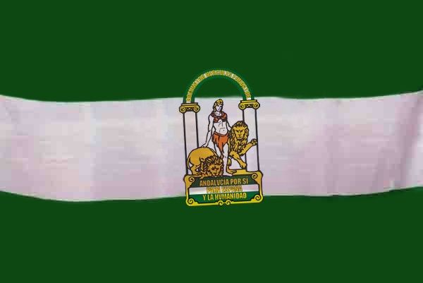 Reunión Plenaria de la Federación Andaluza de AUGC, el 8 de junio