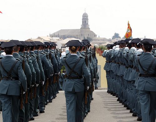 Resumen del Grupo de Trabajo sobre el Real Decreto de Planes de Estudio Escala Suboficiales y de Cabos y Guardias