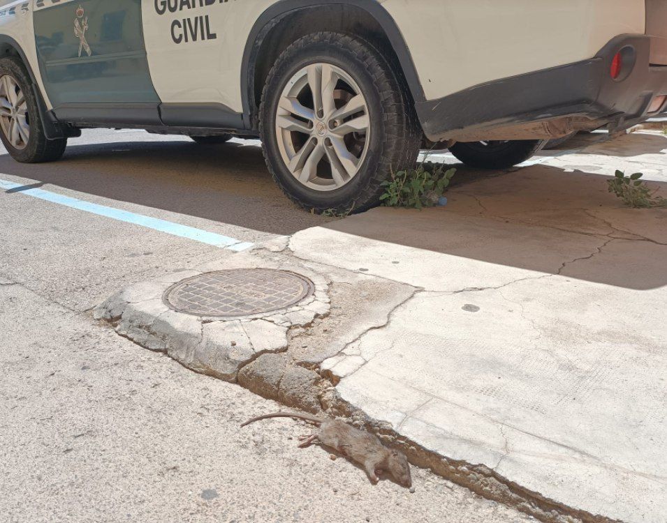 AUGC denuncia la aparición sucesiva de plagas en las instalaciones de la Guardia Civil de Roquetas de Mar