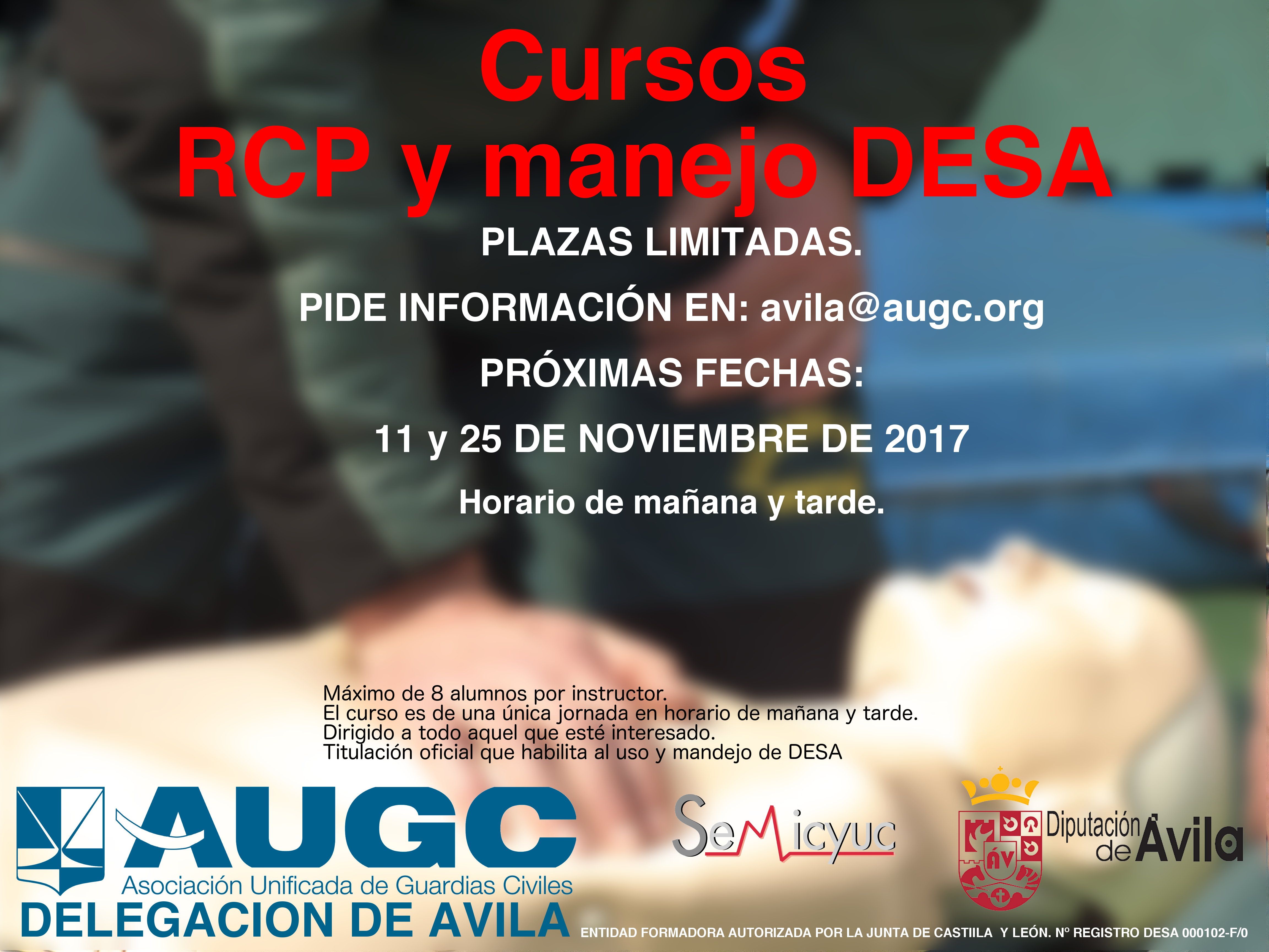 Fechas para cursos DESA en noviembre 2017.