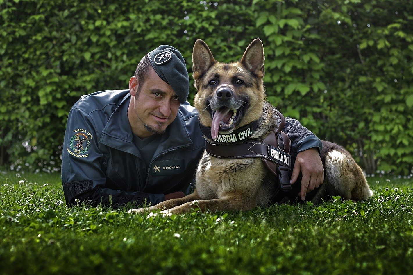 AUGC hace rectificar a la Jefatura de Enseñanza tras la publicación del III Curso de Complemento de Especialización Cinológica