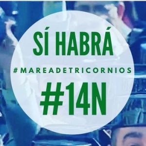Boletín especial del 14N
