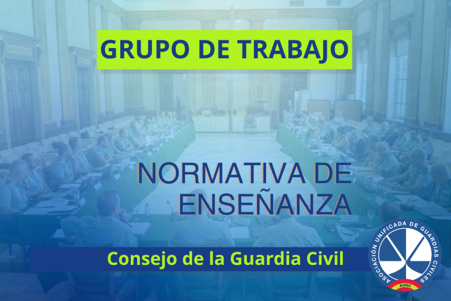 Comunicado del grupo de trabajo sobre normativa de enseñanza