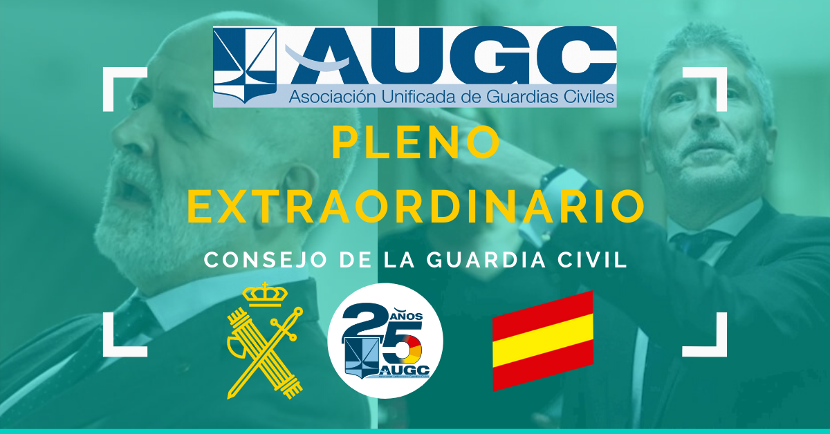 Las asociaciones solicitan explicaciones al Ministro del Interior y peticionan la celebración de un Pleno Extraordinario para aclarar la situación de la Guardia Civil en Navarra