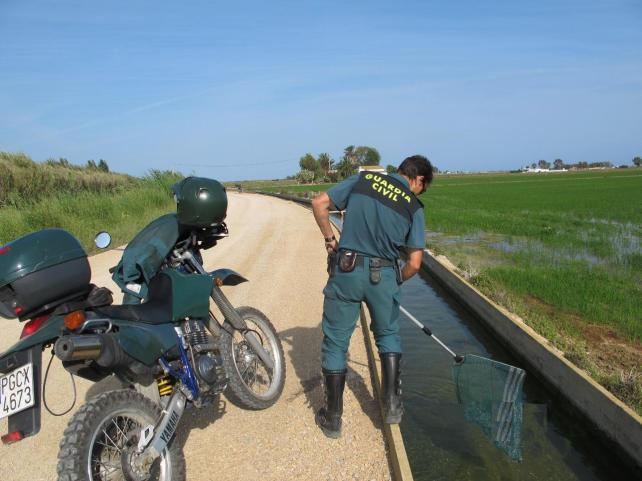 En el Seprona, lo resolutivo debe convivir con lo 'tóxico'