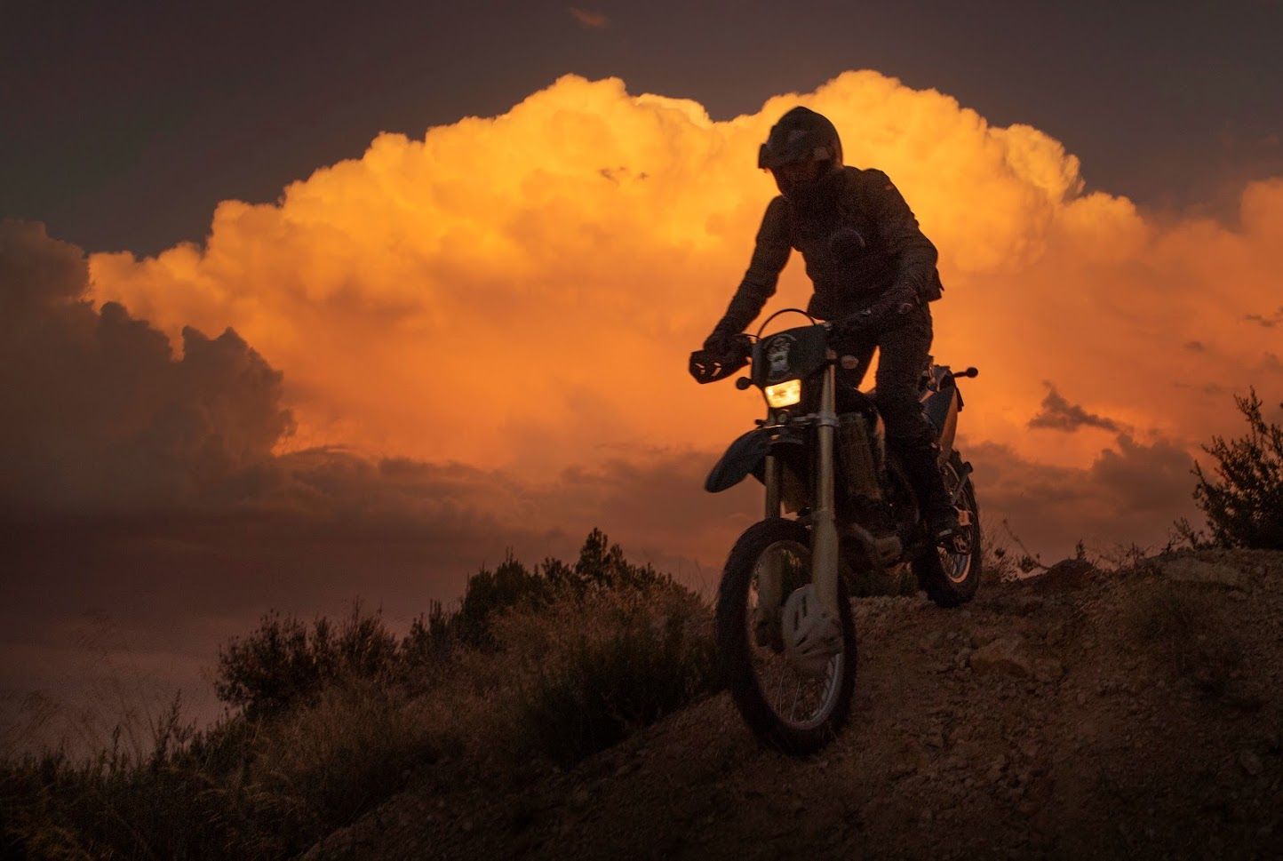 El Gobierno oculta qué unidades del Seprona serán suprimidas en la provincia de Córdoba