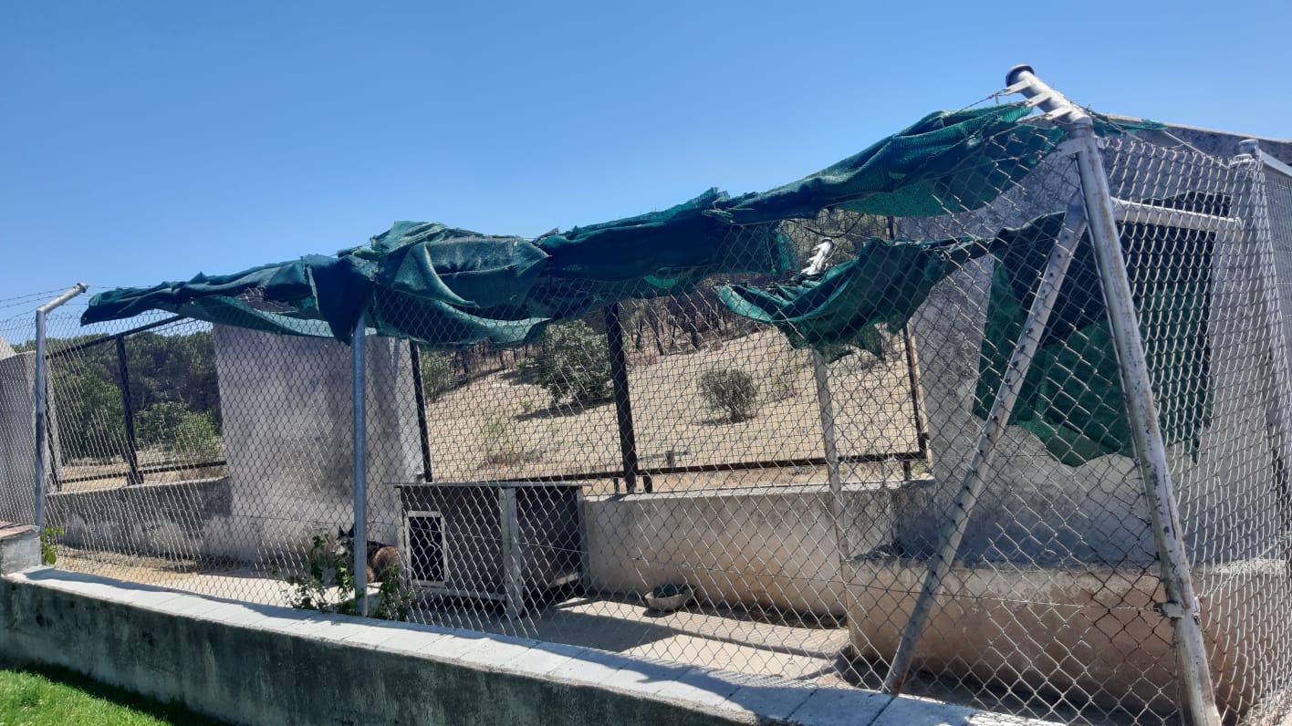 AUGC denuncia el lamentable estado de las instalaciones del servicio cinológico de la Guardia Civil en El Pardo