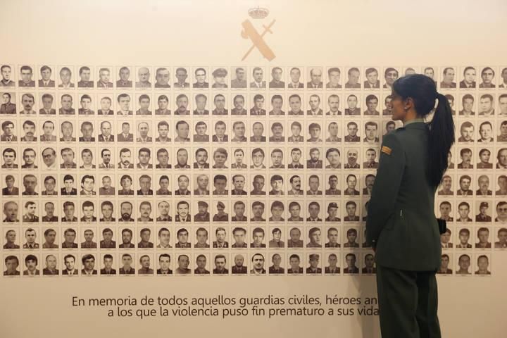 Admitido a trámite el recurso de AUGC contra la ‘Ley de víctimas de abusos policiales’ aprobada por el Gobierno vasco