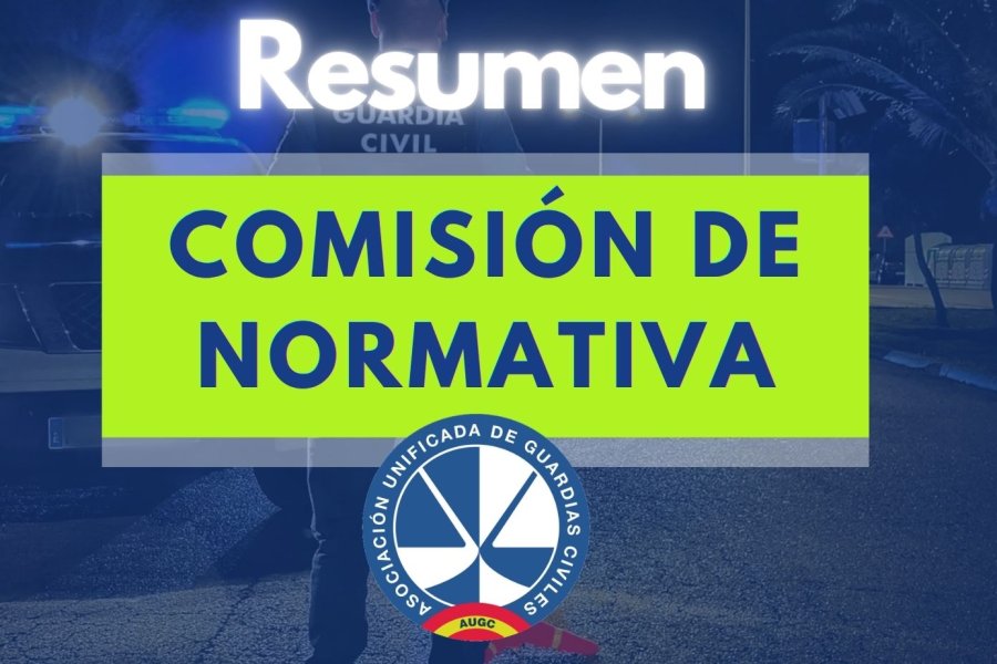 Comunicado en unidad de acción de la comisión de normativa