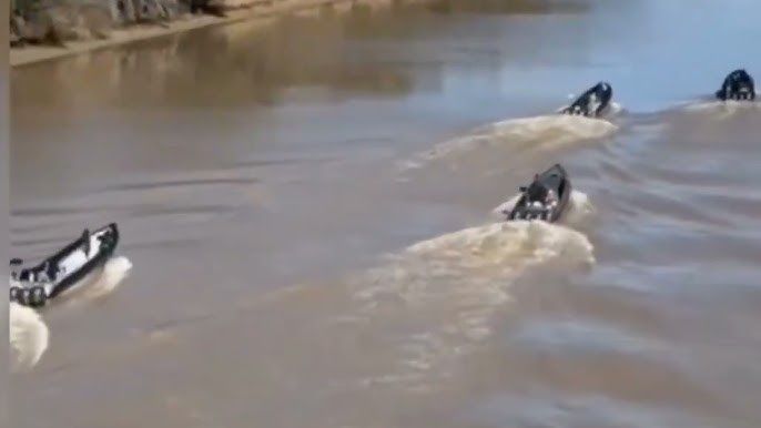 AUGC indignada y abochornada ante la impunidad del narcotráfico en el Guadalquivir