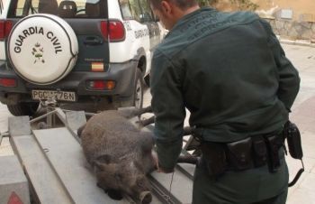AUGC León denuncia la caza de brujas contra sus dirigentes